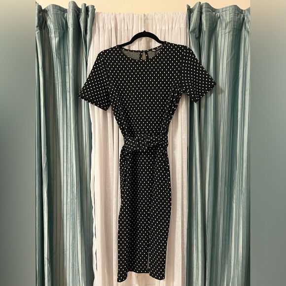 Zara Polka-Dot Dress with Belt Detail - Picture 1 of 6